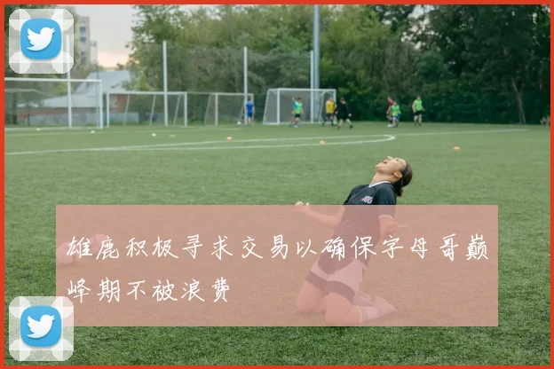 雄鹿积极寻求交易以确保字母哥巅峰期不被浪费
