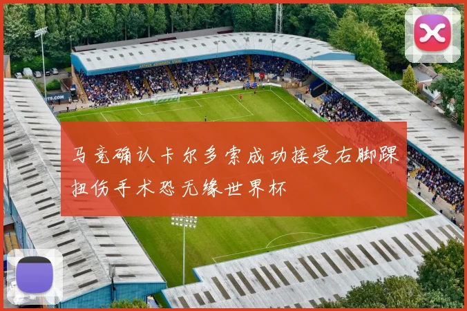 马竞确认卡尔多索成功接受右脚踝扭伤手术恐无缘世界杯