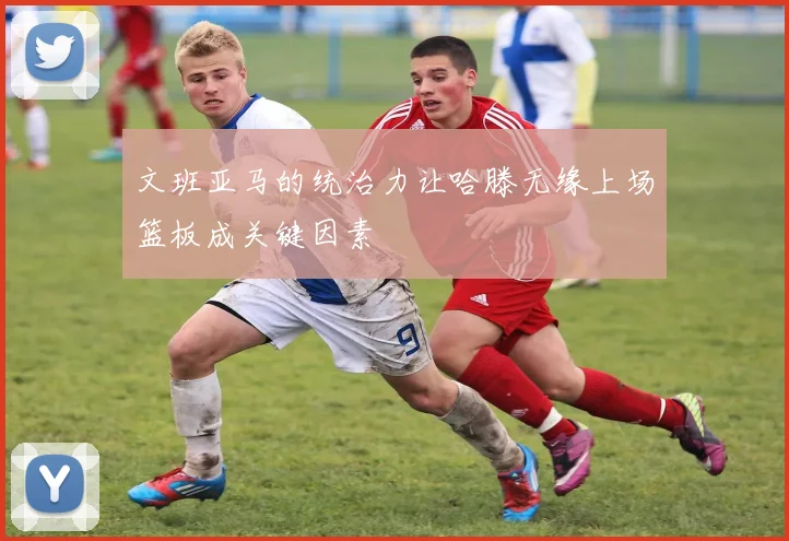 文班亚马的统治力让哈滕无缘上场篮板成关键因素