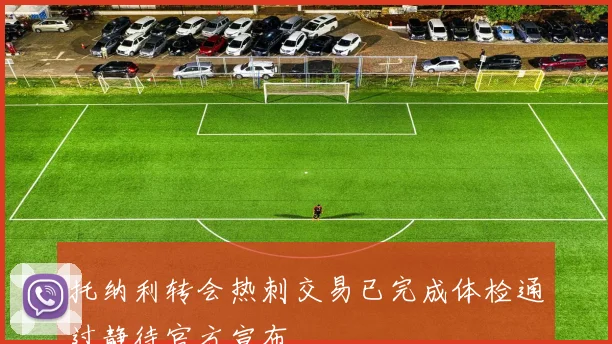 托纳利转会热刺交易已完成体检通过静待官方宣布